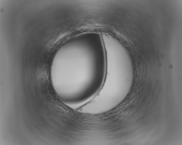 X0000077361206200610200931