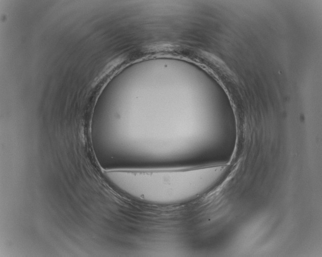 X0000077361209200610200932