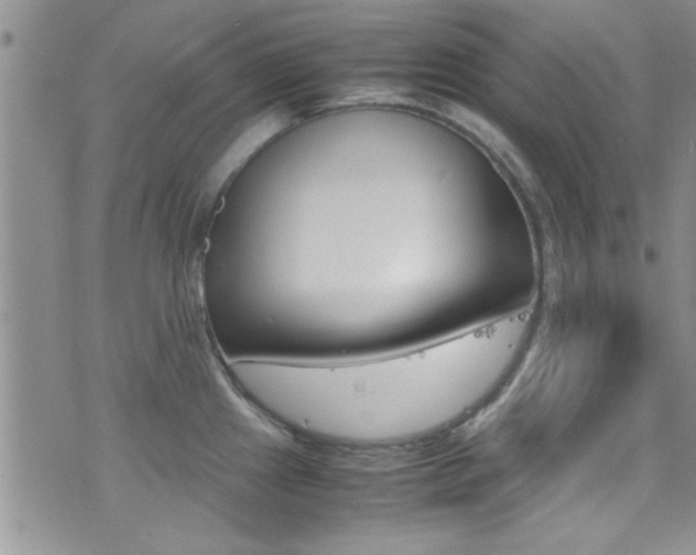 X0000077361241200610200932
