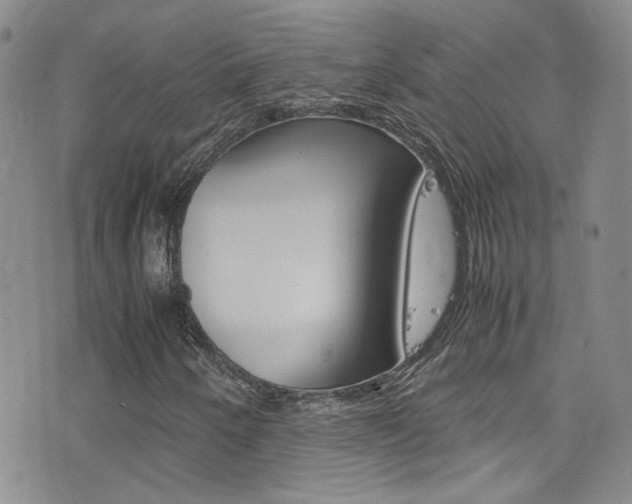 X0000077361250200610200931