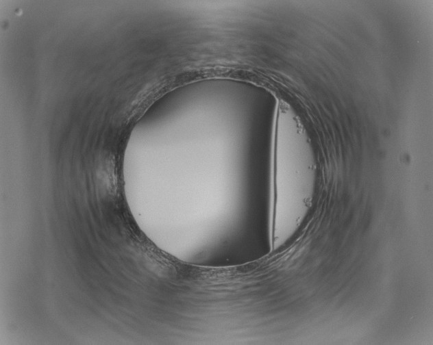 X0000077361252200610200931