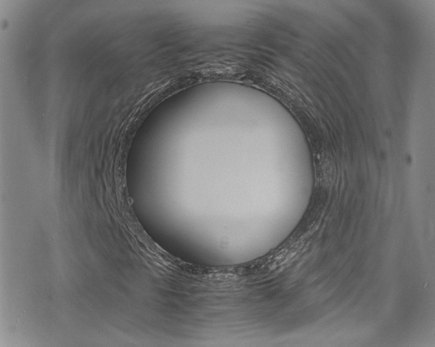 X0000077361297200610200930