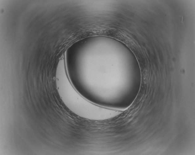 X0000077361298200610200930