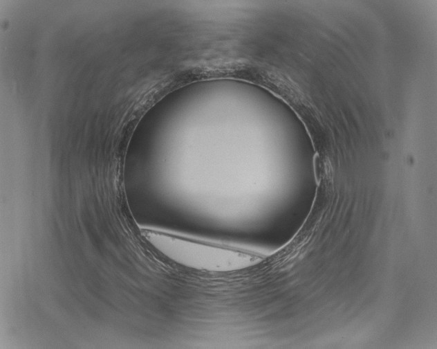 X0000077361300200610200930