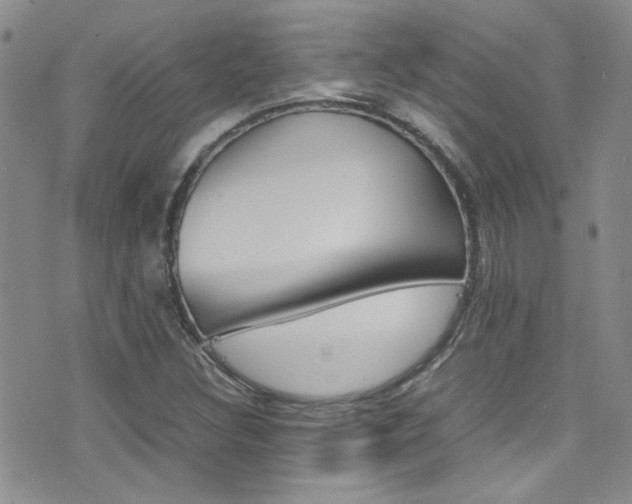 X0000077361308200610200930