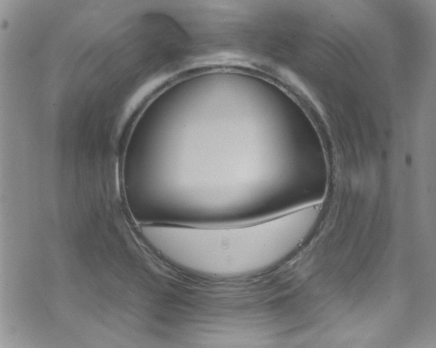 X0000077361320200610200930