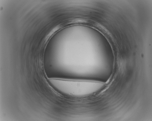 X0000077361321200610200930