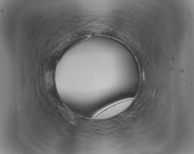 X0000077361347200610200930