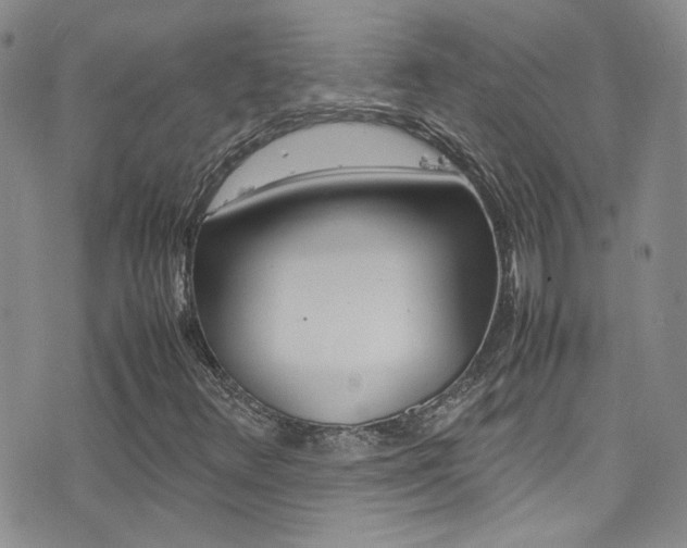 X0000077361348200610200930