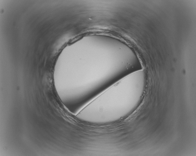 X0000077361355200610200930