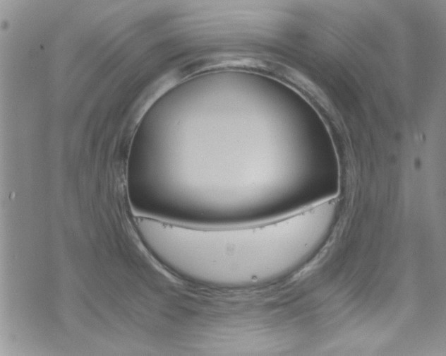 X0000077361377200610200929