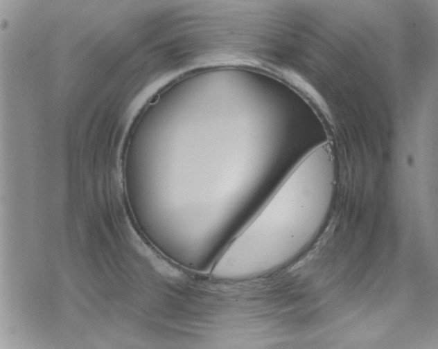 X0000077361380200610200929