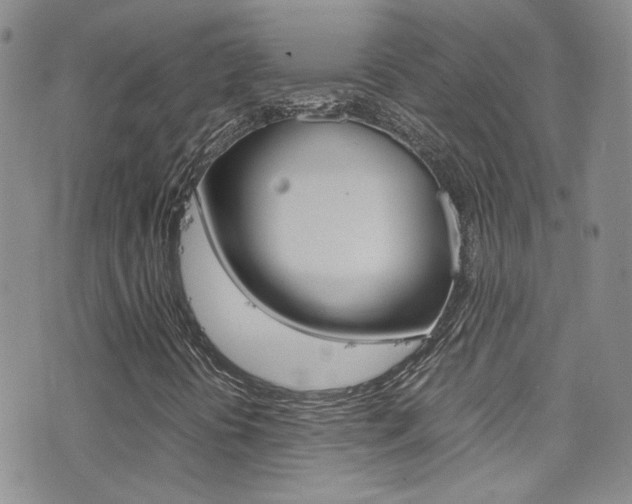 X0000077361394200610200928