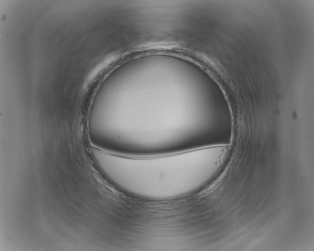 X0000077361406200610200929