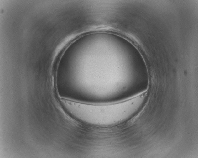 X0000077361414200610200929