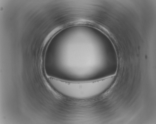 X0000077361418200610200929