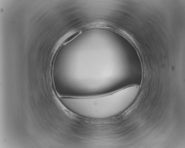 X0000077361434200610200929