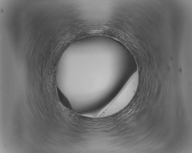 X0000077361441200610200928