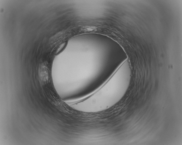 X0000077361442200610200928