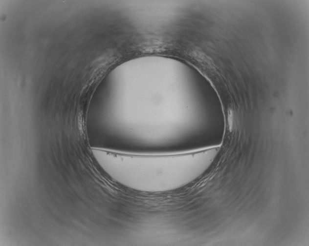 X0000077361444200610200928