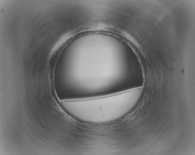 X0000077361456200610200928