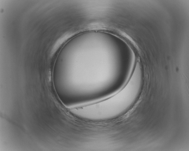 X0000077361461200610200928