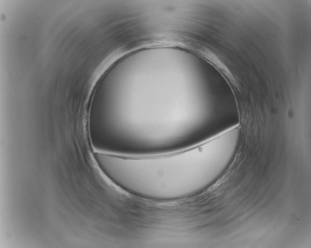 X0000077361484200610200928