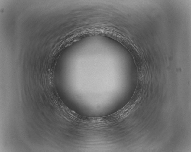 X0000077361490200610200927