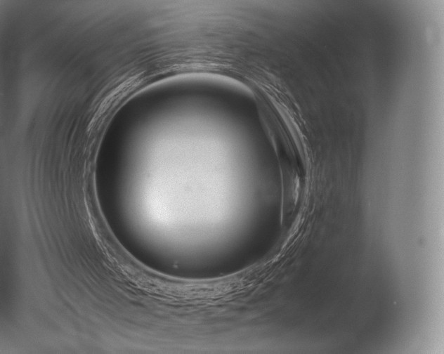 X0000077360001200610201335