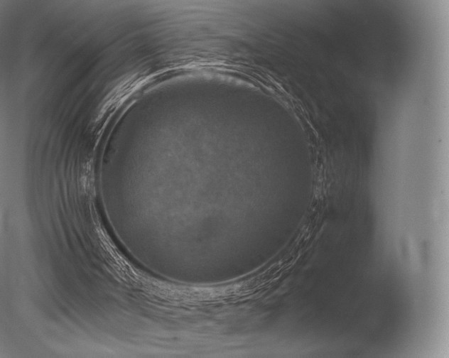 X0000077360002200610201335