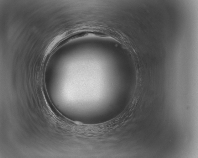 X0000077360003200610201335