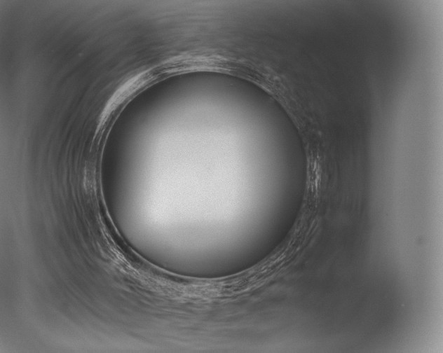 X0000077360004200610201335