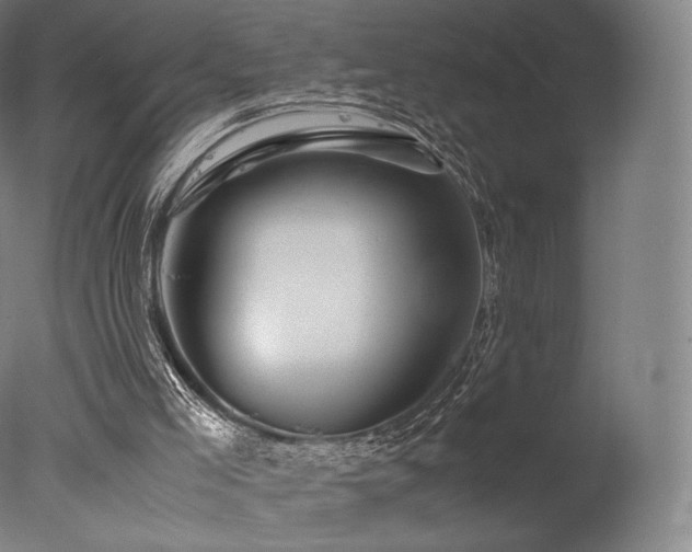 X0000077360005200610201335