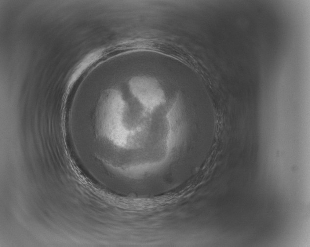 X0000077360006200610201334