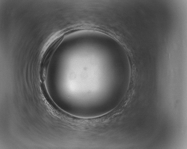 X0000077360007200610201334