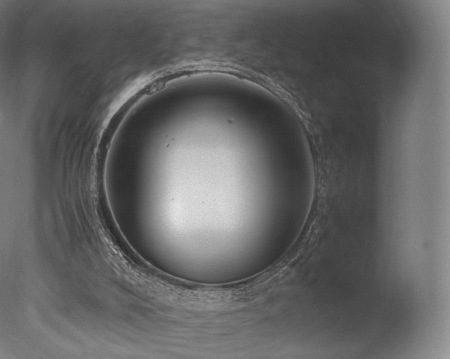 X0000077360008200610201334