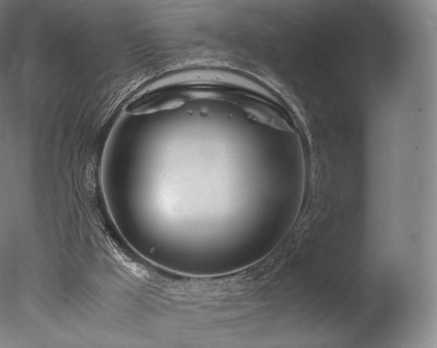 X0000077360009200610201334