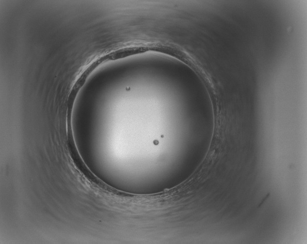 X0000077360011200610201334