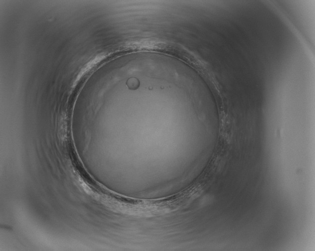 X0000077360012200610201334