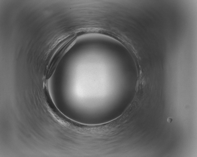 X0000077360013200610201334