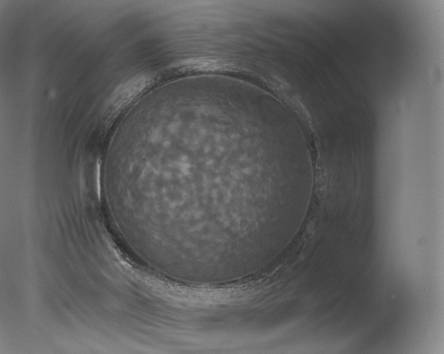 X0000077360014200610201334