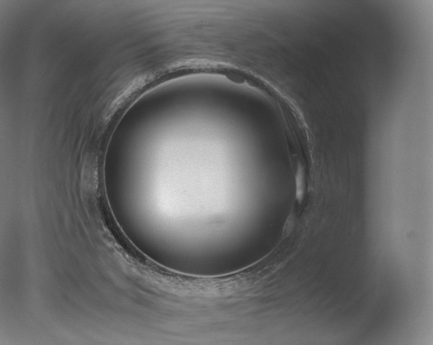 X0000077360015200610201334