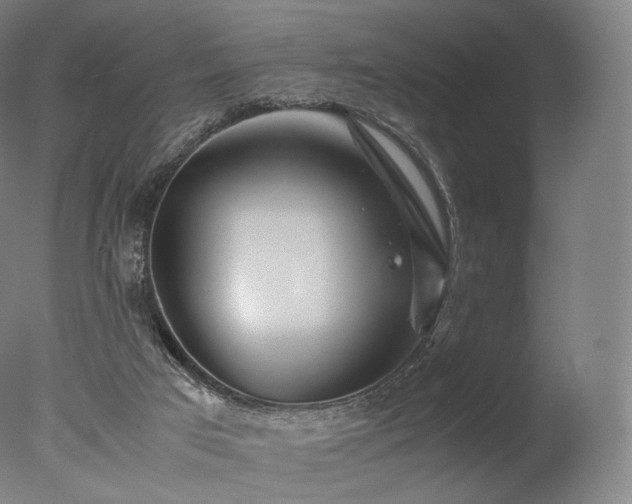 X0000077360017200610201334