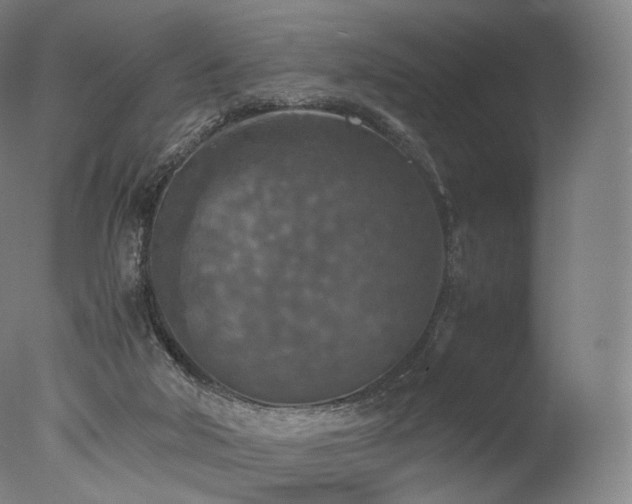 X0000077360018200610201334