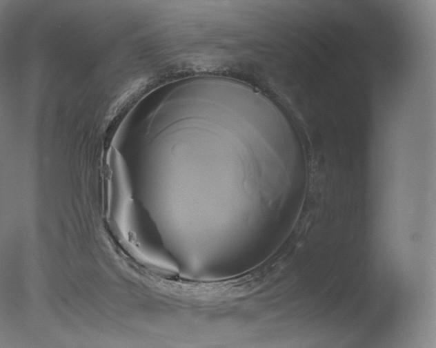 X0000077360019200610201334