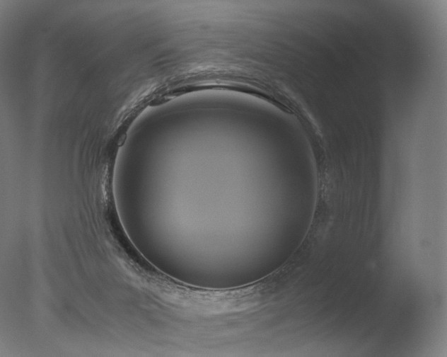 X0000077360023200610201334