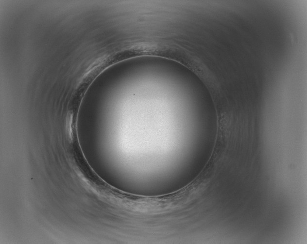 X0000077360024200610201334