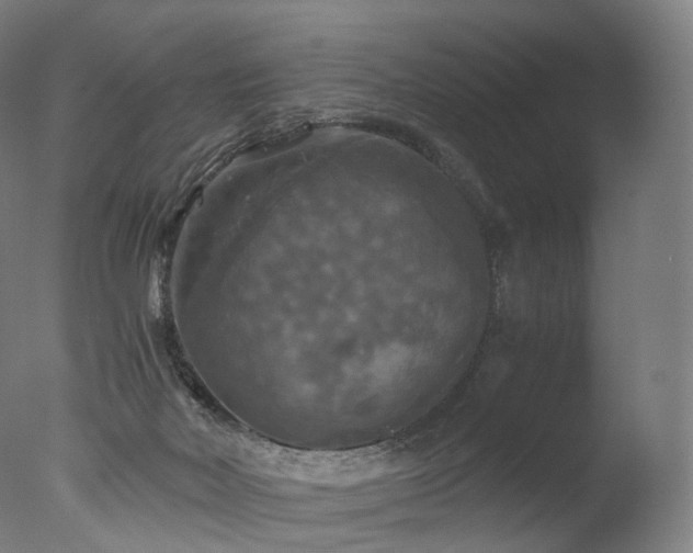 X0000077360026200610201334