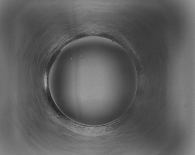 X0000077360027200610201334