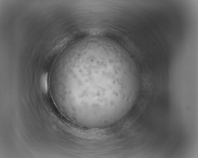 X0000077360028200610201334